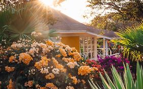 Chogogo Dive & Beach Resort Curacao